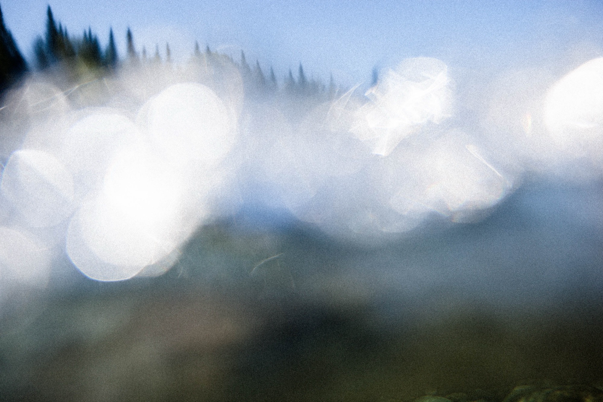 bonaventure 2012 — partsoflight by Robin Cerutti